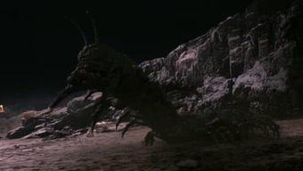 狂暴大蜈蚣,揭秘神秘生物的恐怖力量