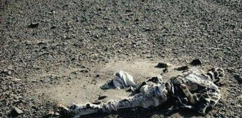 罗布泊神秘事件,探寻古丝绸之路的未解之谜